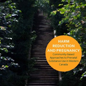 HReduction and Preg Booklet.2015_web_cover